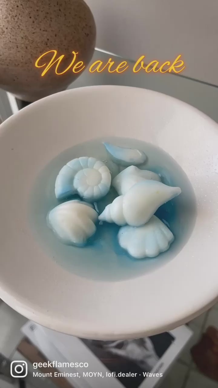 Seashells from Sanibel are the latest addition to our 22nd Avenue Collection as aromatic wax melts.  Fragrance: Gulf Winter Breeze  With masculine energy, this fragrance is a mix of Bergamot, Sea Salt, Moss, Camphor, Lavender, Amber, Musk, and Cedar, to name a few of the scents used to inspire you with the vision of the soft breeze from the Gulf of Mexico waters and spectacular view of the Sunset.  The wax melts contain enough mica to emit a shiny glow as it melts. It comes in blue or green colors.